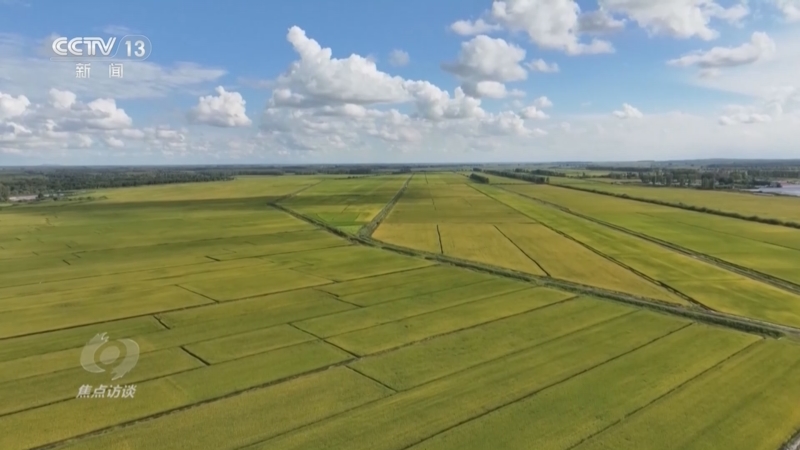 《焦点访谈》_20260203_锚定农业农村现代化_绘就乡村振兴新图景_2026-02-03_22_07_09.jpg