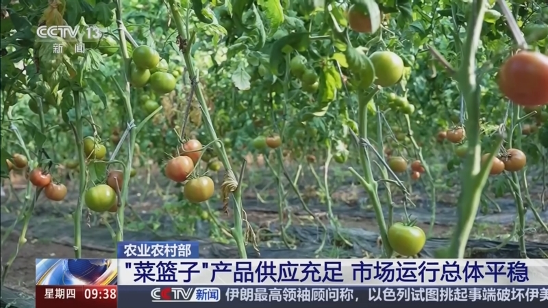 [新闻直播间]农业农村部_“菜篮子”产品供应充足_市场运行总体平稳_2026-02-12_10_02_41.jpg