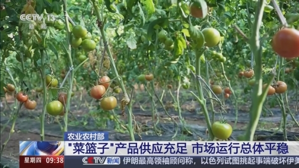 [新闻直播间]农业农村部_“菜篮子”产品供应充足_市场运行总体平稳_2026-02-12_10_02_41.jpg
